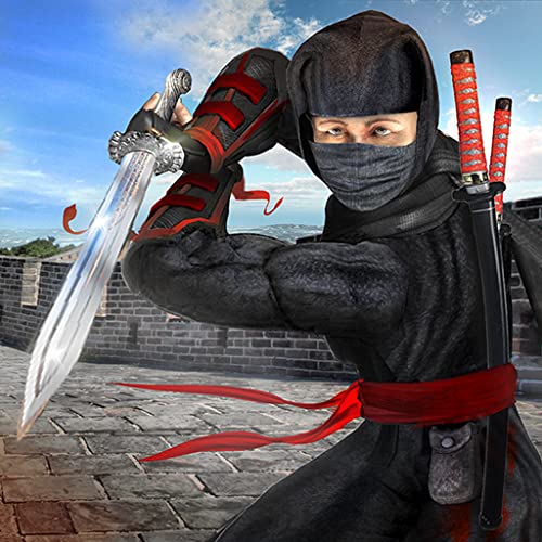 Asesino Supervivencia Hero Ninja Warrior