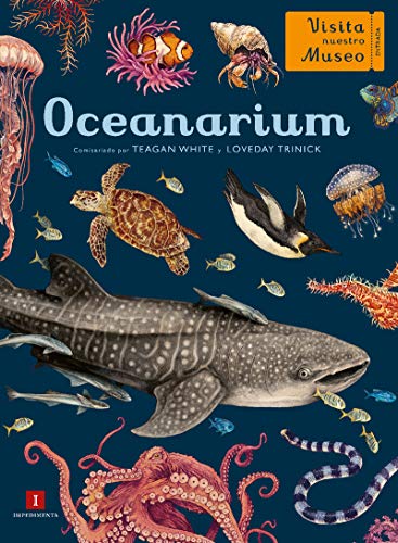 Oceanarium: 35 (El Chico Amarillo)