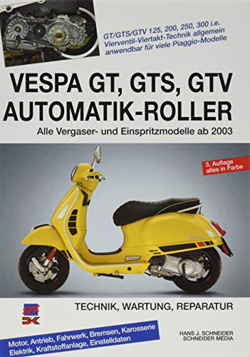 Vespa GT, GTS, GTV Automatik-Roller: Alle Viertakter 125 bis 300 ccm ab 2003. Technik, Wartung, Reparatur